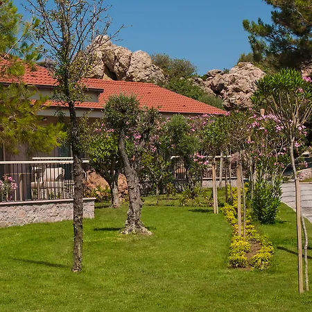 Hotell D -