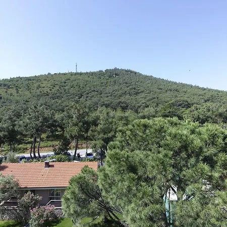 Hotell D - Ayvalı