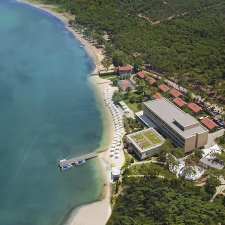 D - Hotell